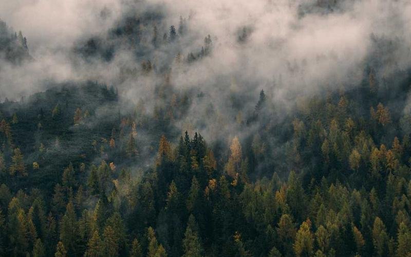 Dynamic E-commerce Platform